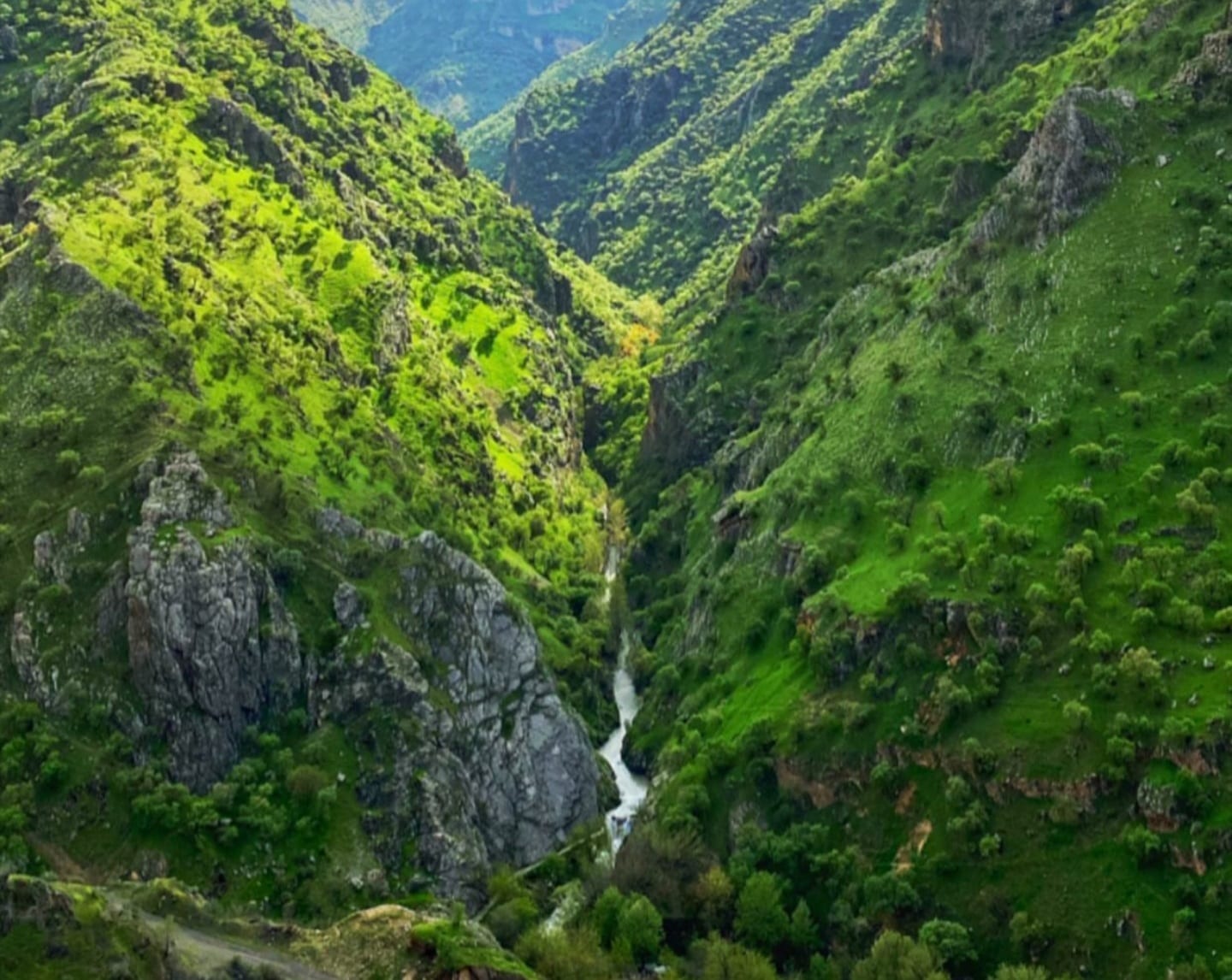 تور کویر (کپی) — تصویر 2
